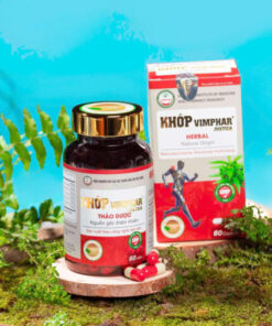 Thuốc Khớp Vimphar Justica: Hỗ Trợ Giảm Đau Nhức Xương Khớp, Mạnh Gân Cốt