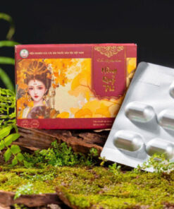 Viên Đặt Phụ Khoa Hồng Quý Phi – Giải Pháp Từ Thảo Dược Cho Sức Khỏe Phụ Nữ