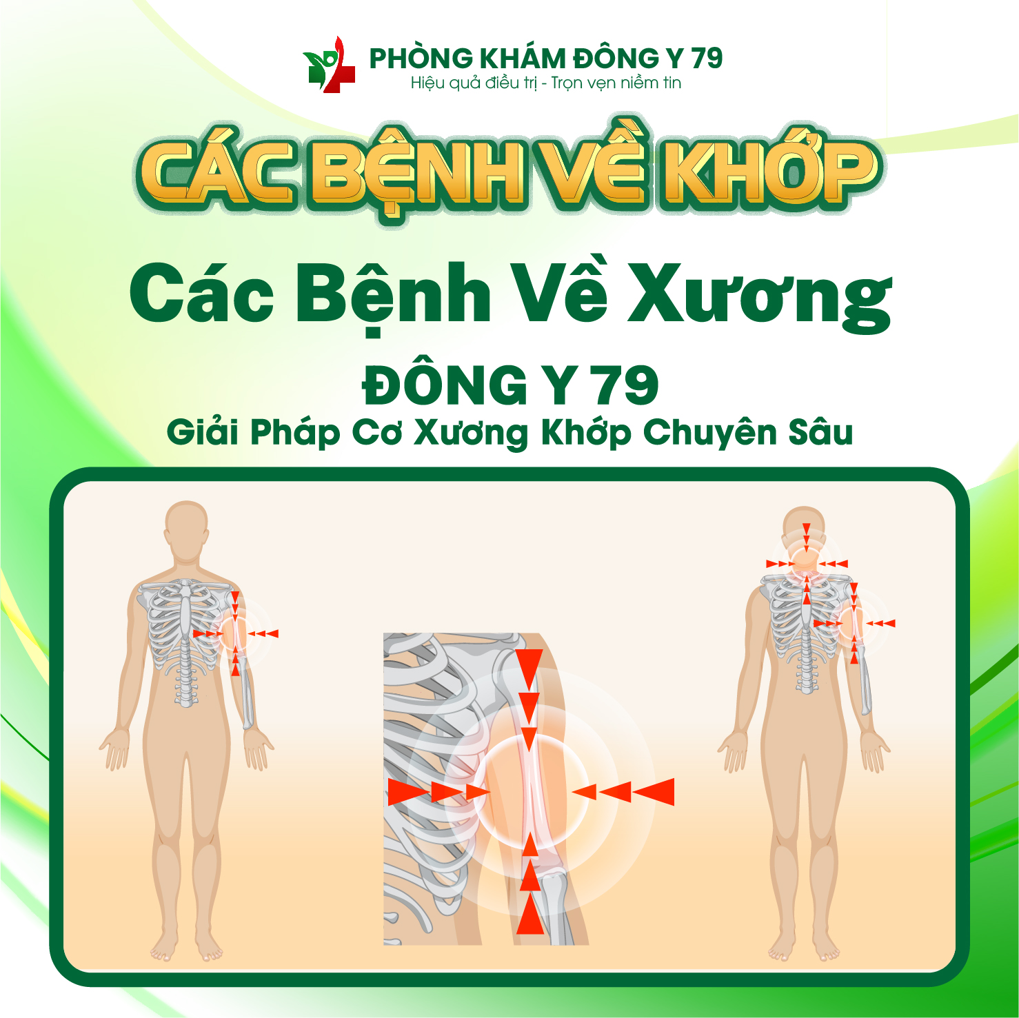 Chức năng của xương, hệ cơ xương khớp và điều trị bệnh bằng Đông y – Tại Phòng Khám Đông Y 79